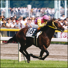 国内最高賞金レース『ジャパンカップ』、300万円獲得の「衝撃の穴馬」とは?