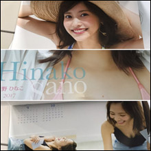 佐野ひなこ、水着グラビア撮影に意欲! 深田恭子路線に期待する声も