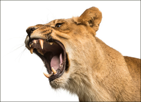 ThinkstockPhotos-456054975.jpg