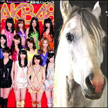 オタの金が競走馬に? AKB運営会社社長の超高額お買い物!!