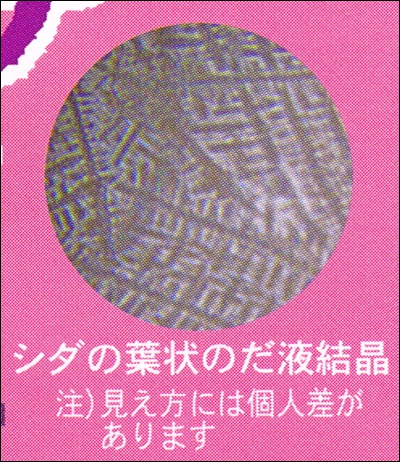 genki_hiran0531_09.jpg
