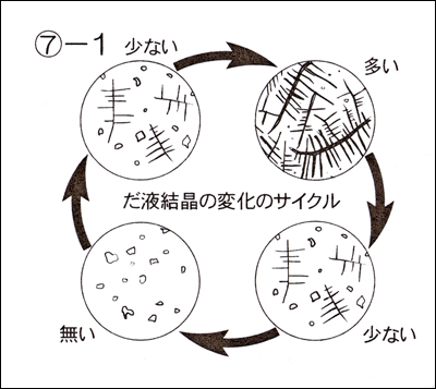 genki_hiran0531_10.jpg