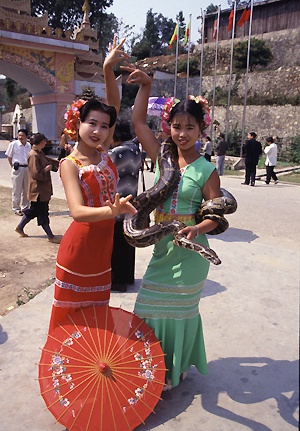 sekainofuuzoku1102.jpg
