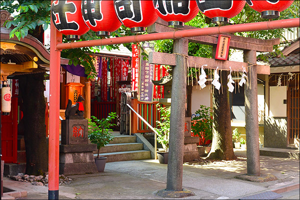 小島みなみデビュー10周年記念お散歩グラビア【円山町の迷い天使】の画像13