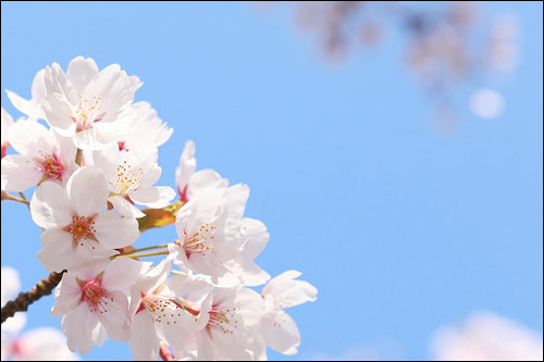 ThinkstockPhotos-513746034.jpg