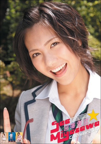 miyazawasae2010.jpg