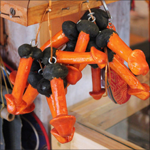 男性器が“2本”の男性が送る、“二刀流”の性生活!