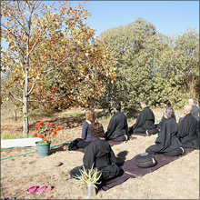 高望みなんてしない、ほどほどでいい…現代の若者「さとり世代」とは