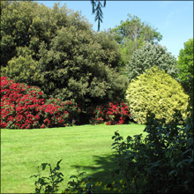 エロ体験談：人妻のイケない遊び