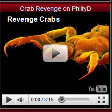 「別れた恋人にケジラミを」 恐怖の「暗殺代行」が欧米で話題に