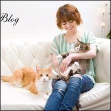 意外な芸能人がボロ儲け！　杉村太蔵、遠野なぎこが年収大暴露