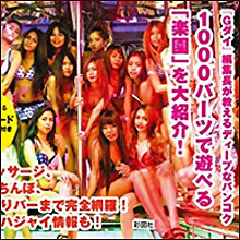 ゴーゴーバーの雰囲気が味わえるデリヘル