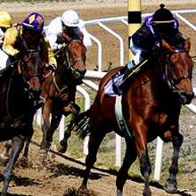 「唯ちゃん生誕祭」に「彼女募集記念」　アツすぎるぜ地方競馬!!