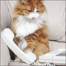 浮気がバレたのは……電話会社のせい!?