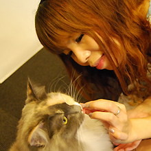 ミッドナイト営業の猫カフェ発見！