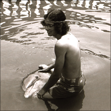 「イルカとセックスした」　実は、イルカは誘惑的な生き物だった!?