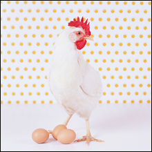 母娘で同じ風俗店に在籍！　美味しい親子丼、いただいちゃいました