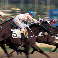 【エロ体験談】ノーパンで馬乗り！　競馬場で出会った女のコの意外すぎる目的