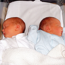 男と女を産み分ける方法