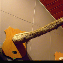 「骨まで愛して」よりもっと情熱的に？　死後もペニスを保存された男たち