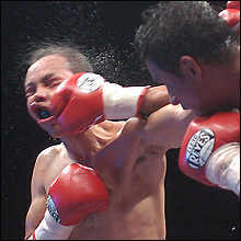 相撲界や芸能界より根深い? ボクシング業界と暴力団の関係