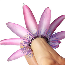 植物は女体よりも魅力的!?　デンドロフィリアの世界