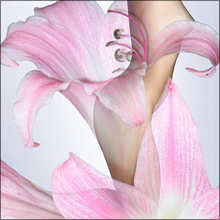 【フィリピーナの魅力】黒なまこを魅了する蘭の花