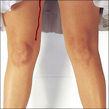 仰天風俗！　『生理専門店』のマニアックな経営戦略