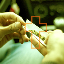 人気ミュージシャンが錯乱状態になった「脱法ハーブ」の正体とは