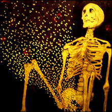 コンニャクオナホは江戸時代からの伝統的なオナホだった!?