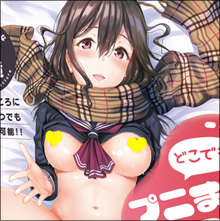 2次元キャラやAV女優と合体気分! 超重量級の据え置き型オナホで極上の自慰生活を
