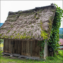 【エロ体験談】実家の物置で中出しエッチ