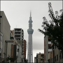 【風俗23区】墨田区向島～錦糸町：大正から平成の次の時代へ　風俗の歴史を天空から見下ろす街