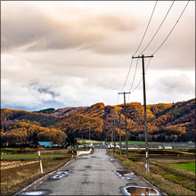 エロ体験談：どんなときでもチ〇コが恋しい熟女