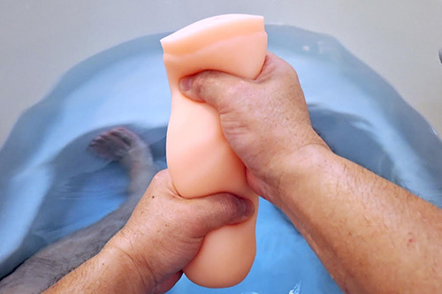 まったりひとり風呂に必携! ボルテックスヒダの波打つ快感が渦潮のようにやってくる「やわらか真空オナホ」の画像8