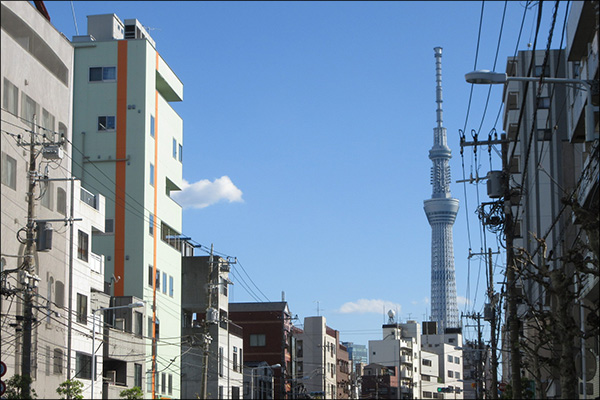 吉原、激変! 生き残りをかける日本一の泡街の画像8