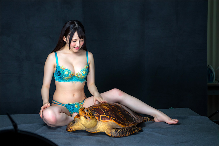 超美乳の超新星! 次世代AVスター・星なこ、笑顔とボディを弾けさせ9.11ミリオン専属デビューの画像3