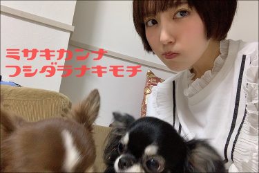 美咲かんなエッセイ：ふしだらな気持ち「夢の話」