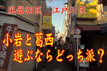 江戸川区の風俗：小岩か葛西か…日本人か大陸系か…濃厚プレイや合体か｜風俗23区