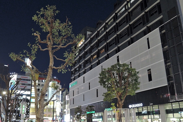 【風俗23区】大田区蒲田の今:飲んでヌイて湯に浸かれる街の画像2