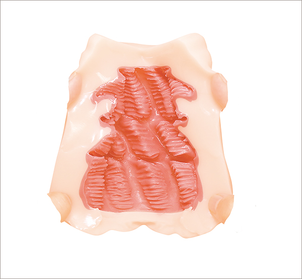 超高品質オナホ！　個性派アダルトグッズメーカーが快感だけを追求した逸品の画像3