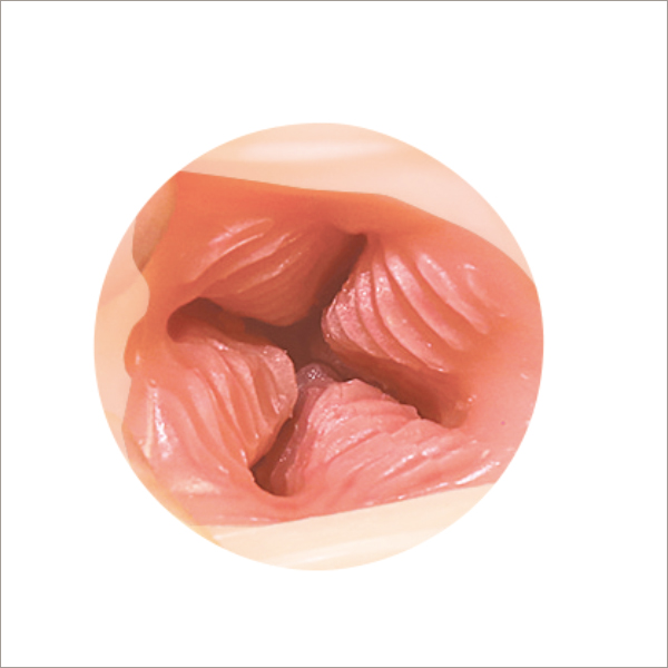 超高品質オナホ！　個性派アダルトグッズメーカーが快感だけを追求した逸品の画像2