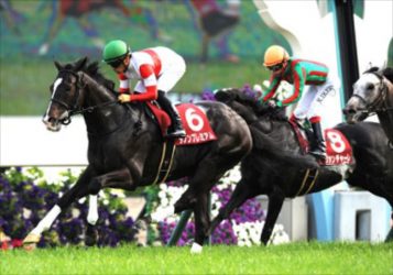 セリフォス、ナミュールも不安？2024年マイル戦線は異常事態！マイラーズCは“安田記念を見切った格下馬”の激走に要注意！