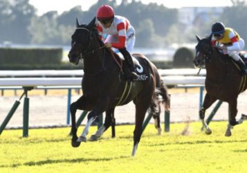 「シャンパンカラーが勝つよ」昨年のNHKマイルCで9番人気の激走を見抜いた“凄腕”が指定したのは、ジャンタルマンタルでもアスコリピチェーノでもないまさかの激走穴馬