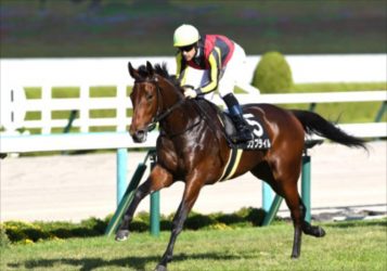 “リバティアイランドは怪我で回避”最強牝馬不在が意味するもの。ヴィクトリアマイルで社台グループの深すぎる内部事情！