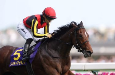 「東京2400mで買うべき馬」これぞダービージョッキーの金言！オークス＆日本ダービーのヒントが満載！ステレンボッシュ、ジャスティンミラノを上回る期待馬がいる！