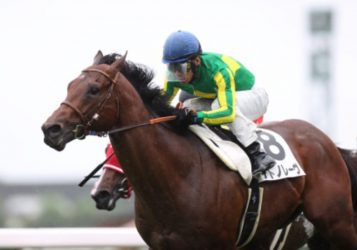 【函館スプリントS】いよいよ夏競馬もスタート！絶対に買うべきアサカラキングを超える穴馬1頭とは？