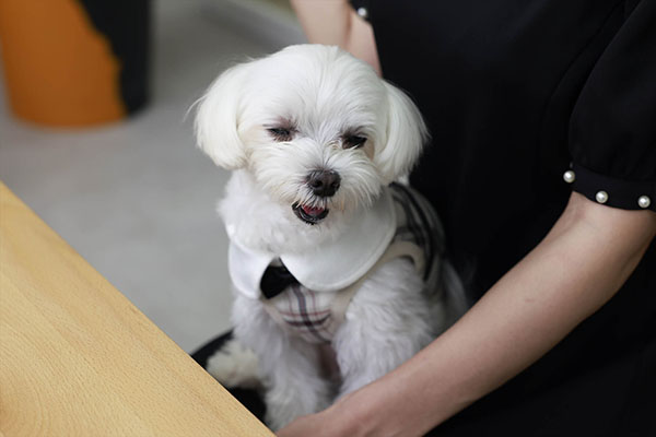 小島みなみの愛情あふれる伸びしろ新規事業SPインタビュー #小島みなみがブランド立ち上げるまでの画像9