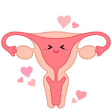 ポルチオ開発で究極の中イキが手に入る?ポルチオ性感帯開発の正しいやり方